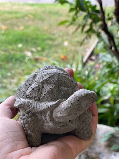 Concrete Tortoise - Etsy UK - muktibox.com