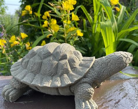 Concrete Turtle Statues & Sculptures You'll Love | Wayfair - muktibox.com