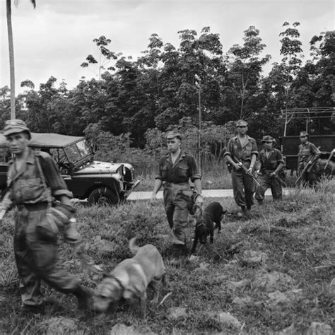 Confrontation in Borneo | NZ History - wintechmobiles.com