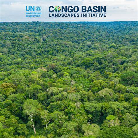 Congo Basin: Vital rainforest and biodiversity hotspot - raincitystudios.com