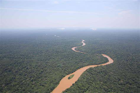 Congolian rainforests - raincitystudios.com