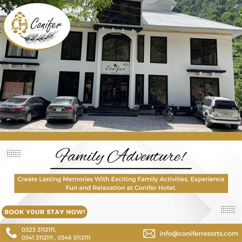 Conifer Resort - raincitystudios.com