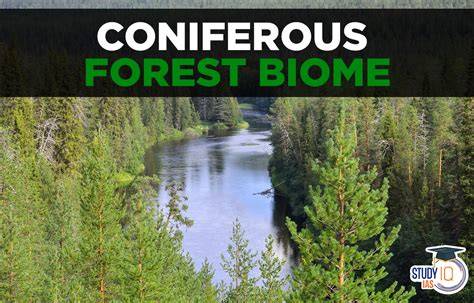 Coniferous Forest Biome - ArcGIS StoryMaps - raincitystudios.com