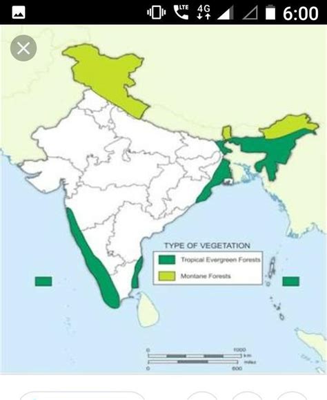 Coniferous Forest in India: Distribution & Importance - - raincitystudios.com