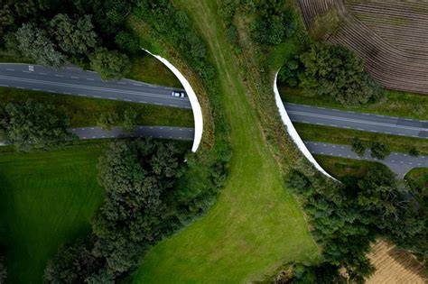 Connectivity Restoration in Large Landscapes: Modeling Landscape ... - raincitystudios.com
