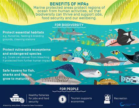 Conservation and Management in Protecting Marine … - raincitystudios.com