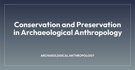 Conservation and Preservation in Archaeological Anthropology - wintechmobiles.com