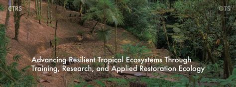 Conservation and Restoration of the Tropical … - raincitystudios.com