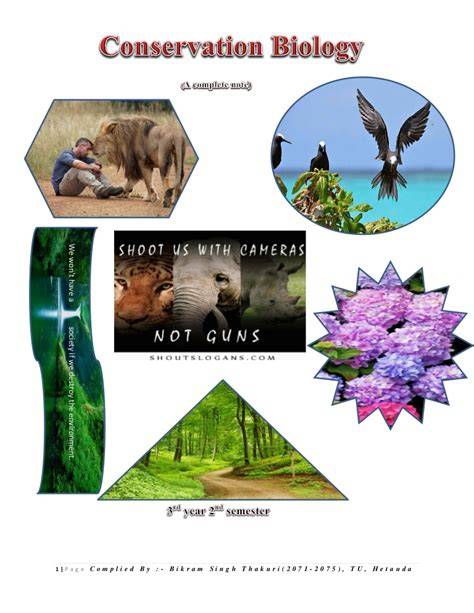 Conservation Biology & Wildlife: Directory of Internships, Research ... - raincitystudios.com