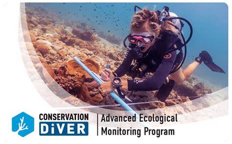 Conservation Diver Foundation: Research, Protection, … - raincitystudios.com