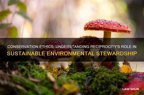 Conservation Ethics: Understanding Reciprocity's Role In Sustainable ... - raincitystudios.com
