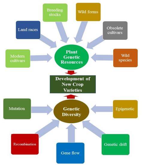 Conservation Genetics: Preserving Genetic Diversity For Future … - raincitystudios.com