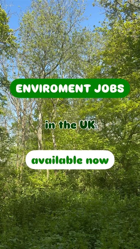 CONSERVATION JOBS - SEVENSEAS Media - raincitystudios.com