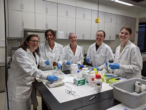 Conservation Lab | UCLA Cotsen Institute of Archaeology - muktibox.com