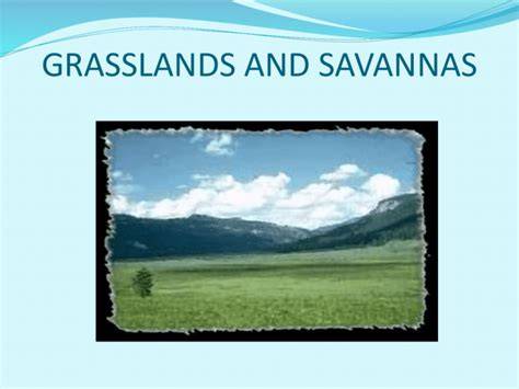 Conservation of grasslands and savannas: A meta ... - ScienceDirect - raincitystudios.com