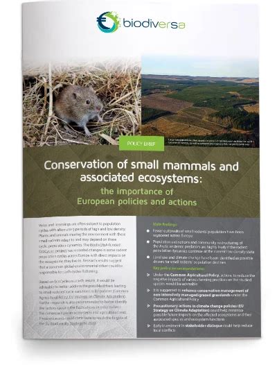 Conservation of small mammals and associated ecosystems - raincitystudios.com