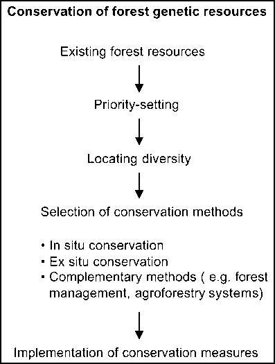 CONSERVATION OF TROPICAL FOREST GENETIC RESOURCES: … - raincitystudios.com