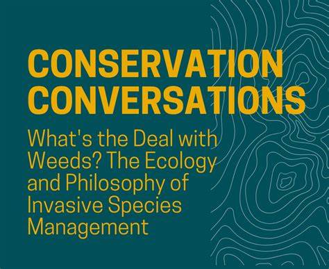 Conservation Philosophy: A Guide - raincitystudios.com