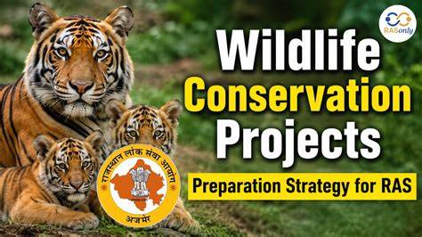Conservation Projects 2026 - Volunteer World - raincitystudios.com