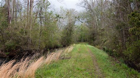 Conservation projects restore natural water flow to … - raincitystudios.com