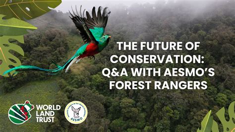 Conservation Q&A: "foxing" explained - Museums of History NSW - muktibox.com