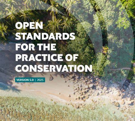 Conservation Standards and Ethical Guidance - raincitystudios.com