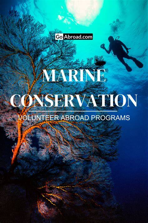 Conservation Volunteer Programs Abroad | Go Overseas - raincitystudios.com