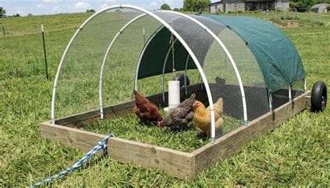 Constructing A Mobile Chicken Tractor For Happy, … - raincitystudios.com