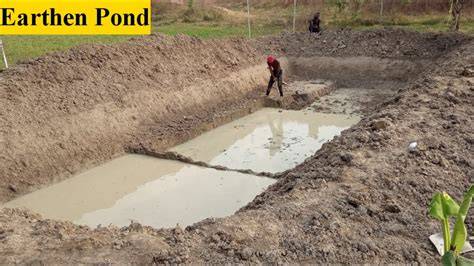 Construction of an Earthen Pond for Catfish Production - Famerlio - raincitystudios.com