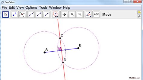 Constructions with Dynamic Software - wintechmobiles.com