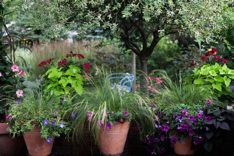 Container gardening - tips and techniques / RHS … - raincitystudios.com