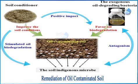 Contaminated Soil Remediation - an overview - ScienceDirect - muktibox.com