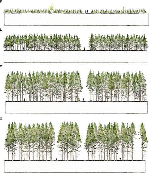 Contemporary Silviculture | Springer Nature Link - raincitystudios.com