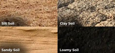 Content Types of soil (sandy, clay, loamy); Properties of ... - Filo - muktibox.com