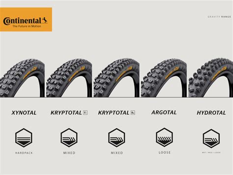 CONTINENTAL Reifen Hydrotal 29 x 2,40 SuperSoft-Compound Downhill …