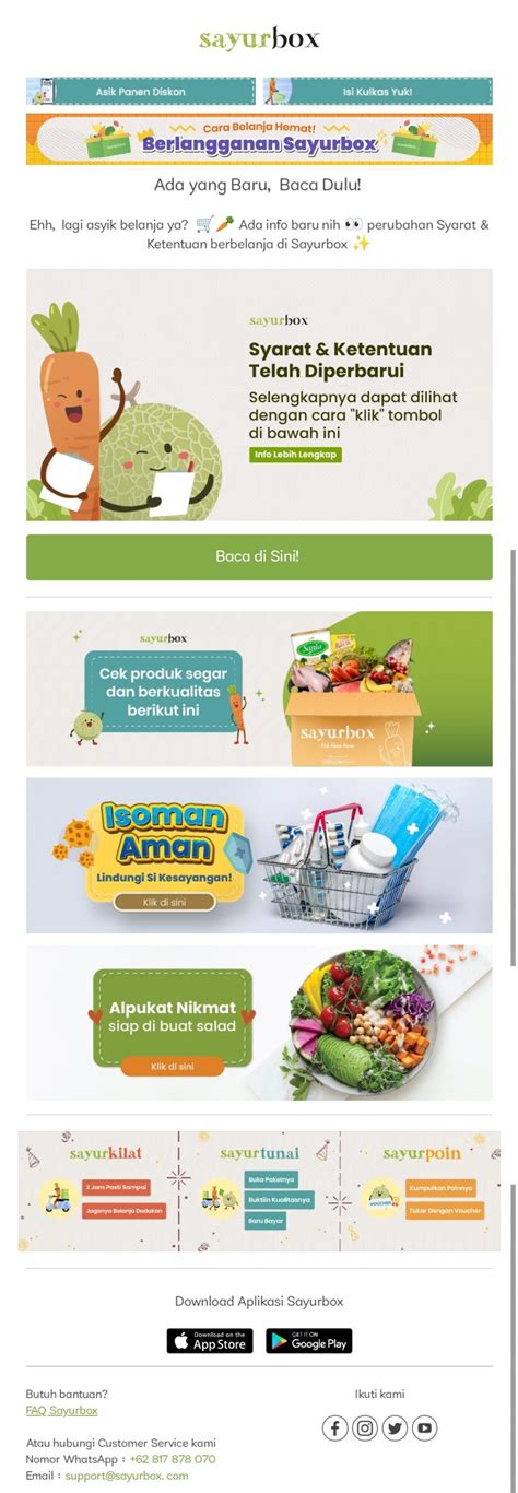 contoh newsletter email - elchoricharrua.com