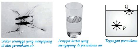 Contoh Tegangan Permukaan Air | PDF - Scribd - wintechmobiles.com