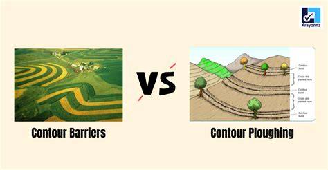 Contour Cultivation and Live Barriers for Small-Scale … - raincitystudios.com