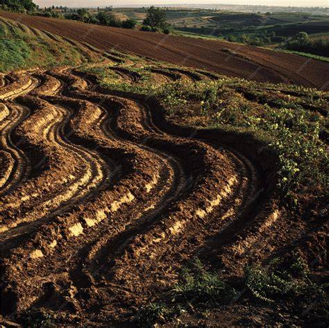Contour Farming: A Smart Approach to Soil Conservation - raincitystudios.com