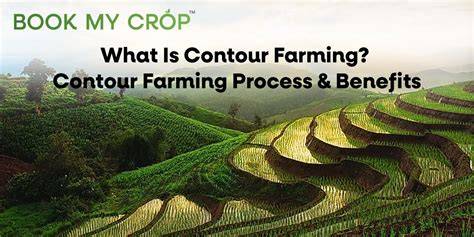 Contour Farming: Factors, Benefits, Limitations, And Successful ... - raincitystudios.com