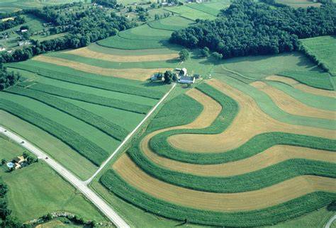 Contour Farming and Strip Cropping for Soil Protection - raincitystudios.com