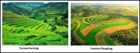 Contour Ploughing and Terrace Farming - Unacademy - raincitystudios.com