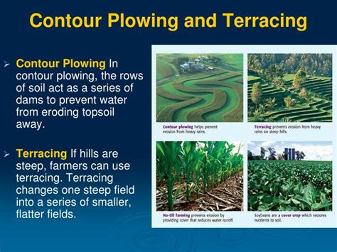 Contour Plowing and Terracing Explained - raincitystudios.com