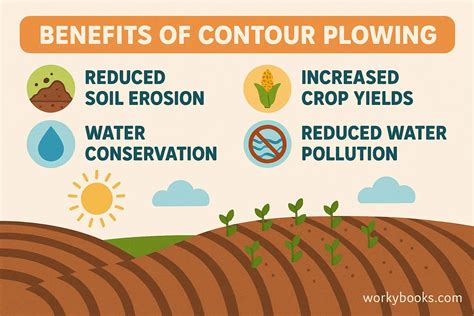 Contour Plowing Explained | Soil Conservation Science - raincitystudios.com