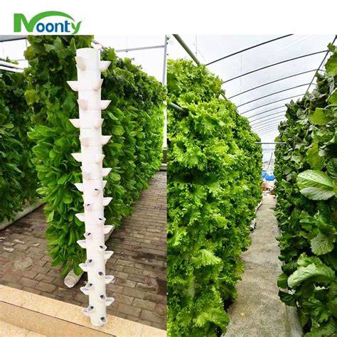 Control environment for cultivation of coriander in vertical tower ... - raincitystudios.com