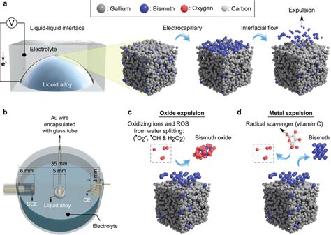 Control of spatter due to liquid metal expulsion in additive ... - wintechmobiles.com
