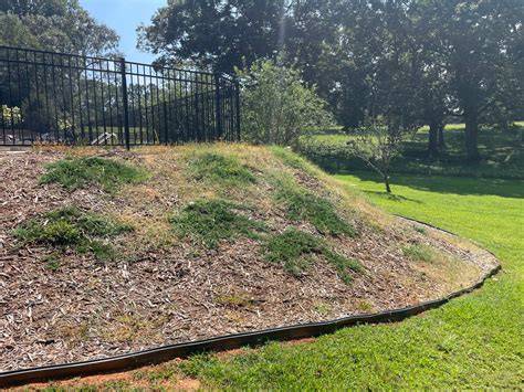 Controlling Erosion on a Steep Hillside with Landscape Fabric, Jute ... - raincitystudios.com