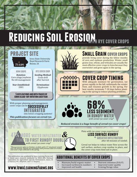 Controlling soil erosion with cover crops - MSU Extension - raincitystudios.com