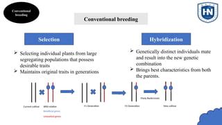 Conventional and modern breeding technologies for … - raincitystudios.com