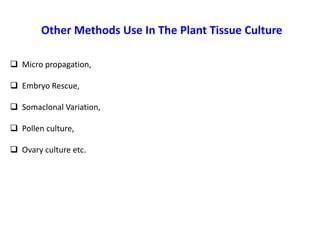 Conventional Versus Non-Conventional Methods of Propagation of Forest ... - raincitystudios.com